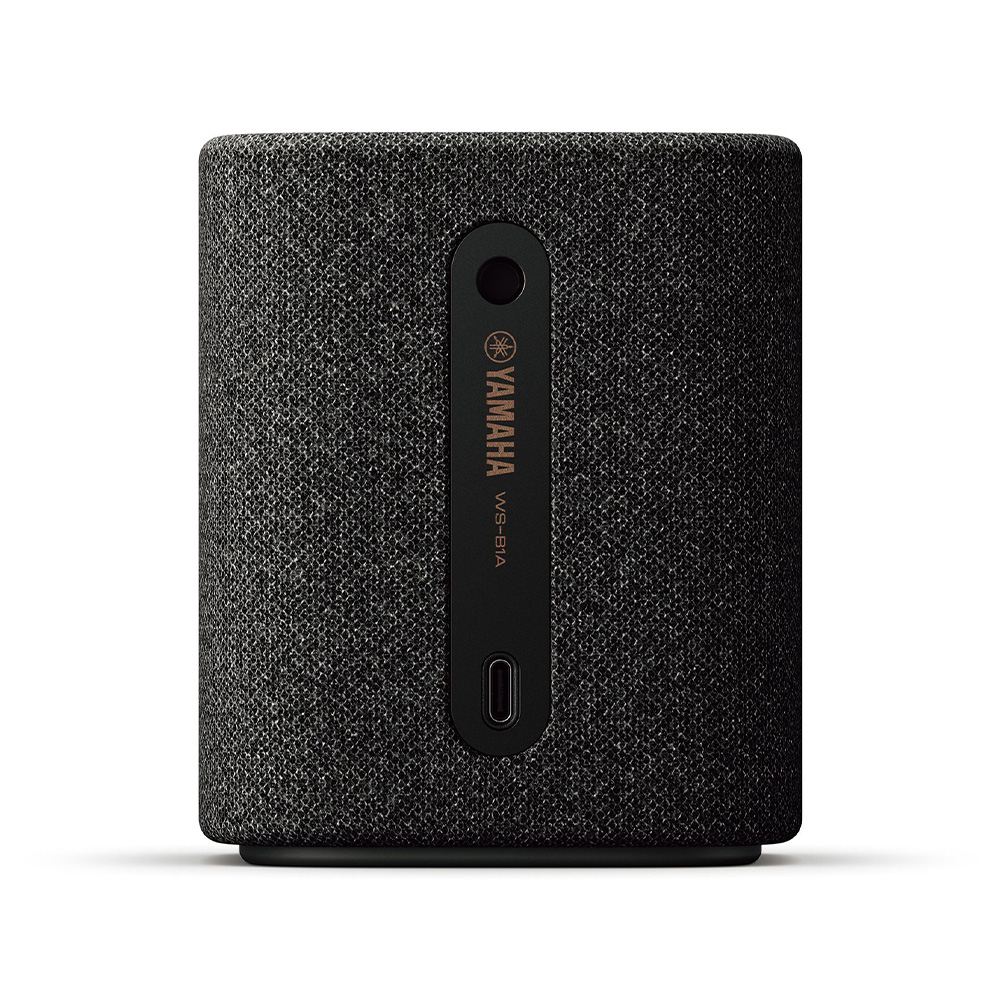 ws-b1a – carbon gray 4